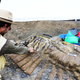 Imagen para el artículo titulado Hallan en México la cola de un dinosaurio de hace 72 millones de años
